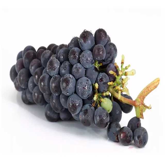 Fresh Top Quality seedless grape in cartoon and plastic wholesale best price healthy fruit sweet juicy