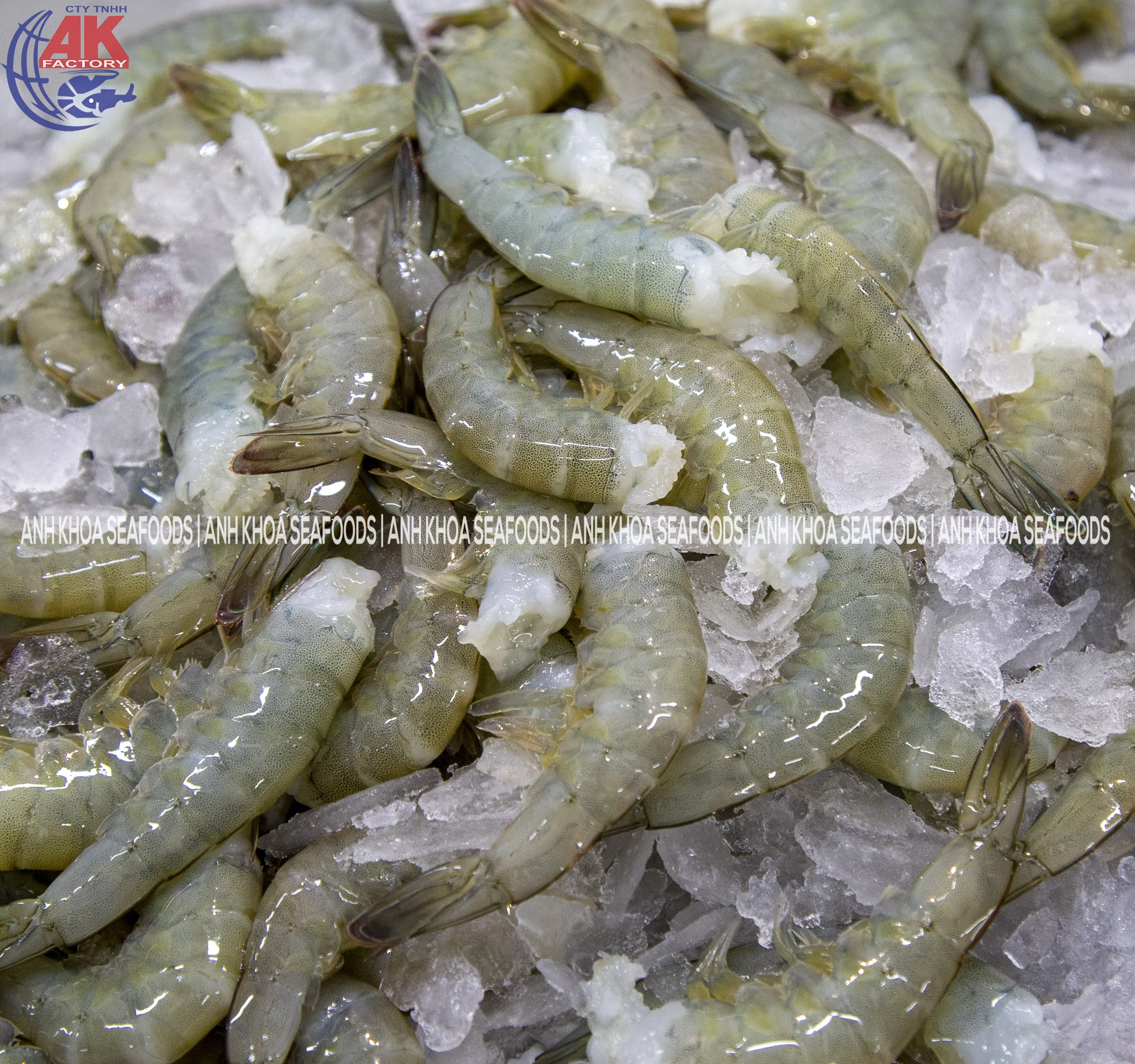 Vietnam Qualified Seafood Supply W/HLSO Headless Vannamei Shrimp Shell On With Custom Weight & Style OEM Order