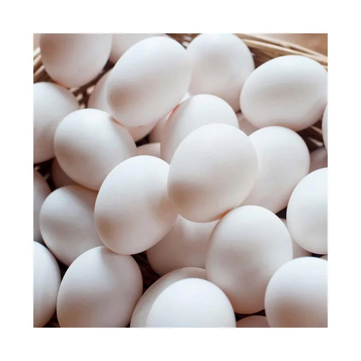 Ферма свежие куриные столовые яйца коричневая и белая скорлупа оптом закупка 100% органических белых яиц Прямая Фабрика