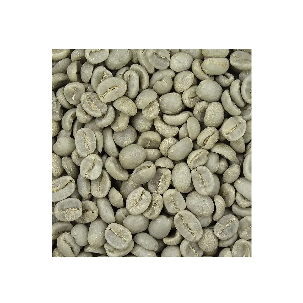 Ready To Ship High Quality Wholesale Vietnamese Green Arabica Coffee Bean With Raw And Roasted Processing