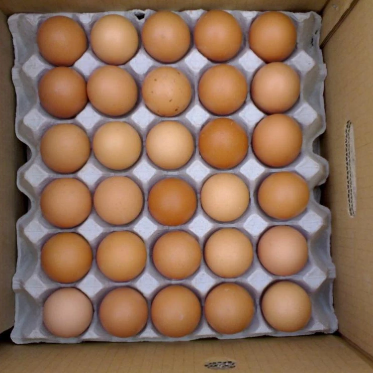 Fresh White and brown table eggs