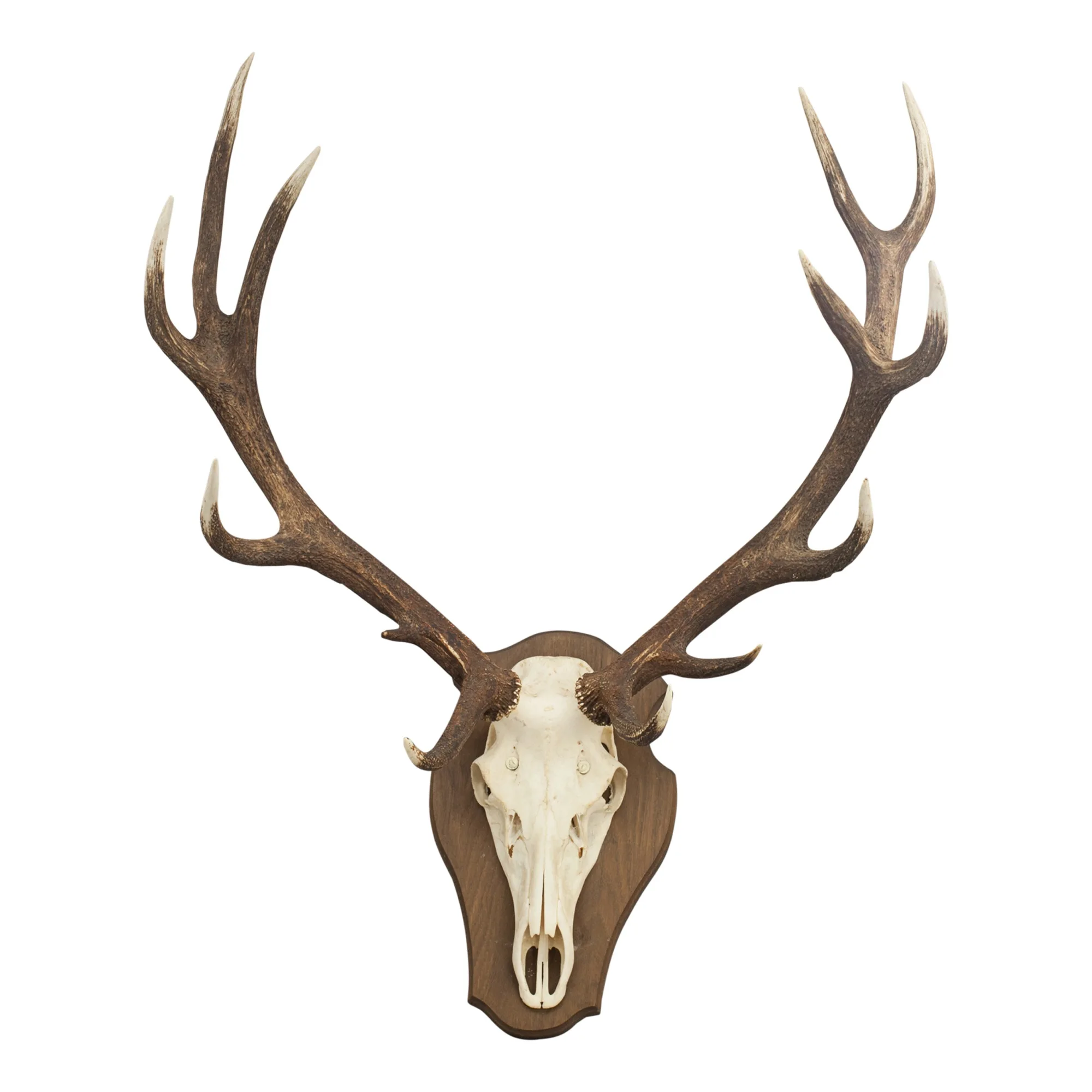 Whole Red Antlers Horse Deer Black Venom Bee Hair Box Packaging Color Powder Material Shelf Natural 2023