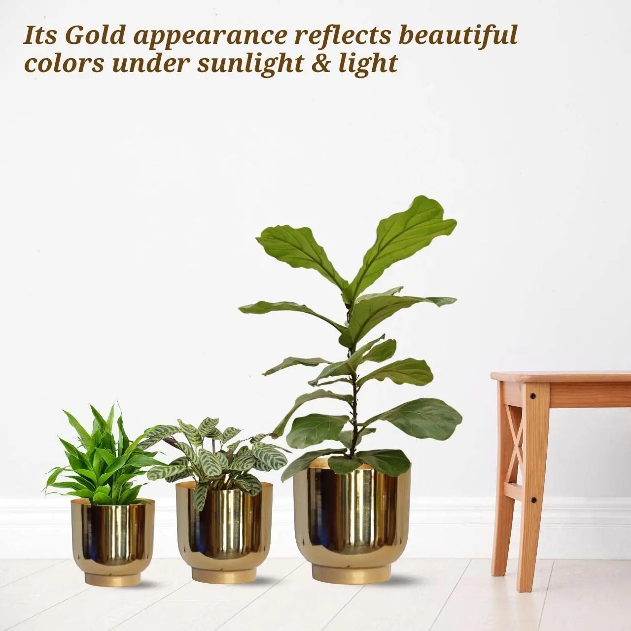 Unique Metal Plant Pots (8 inch 9 inch 10 inch) Indoor Planter Flower Pots with Drainage Hole For Home Garden Living Room Decor
