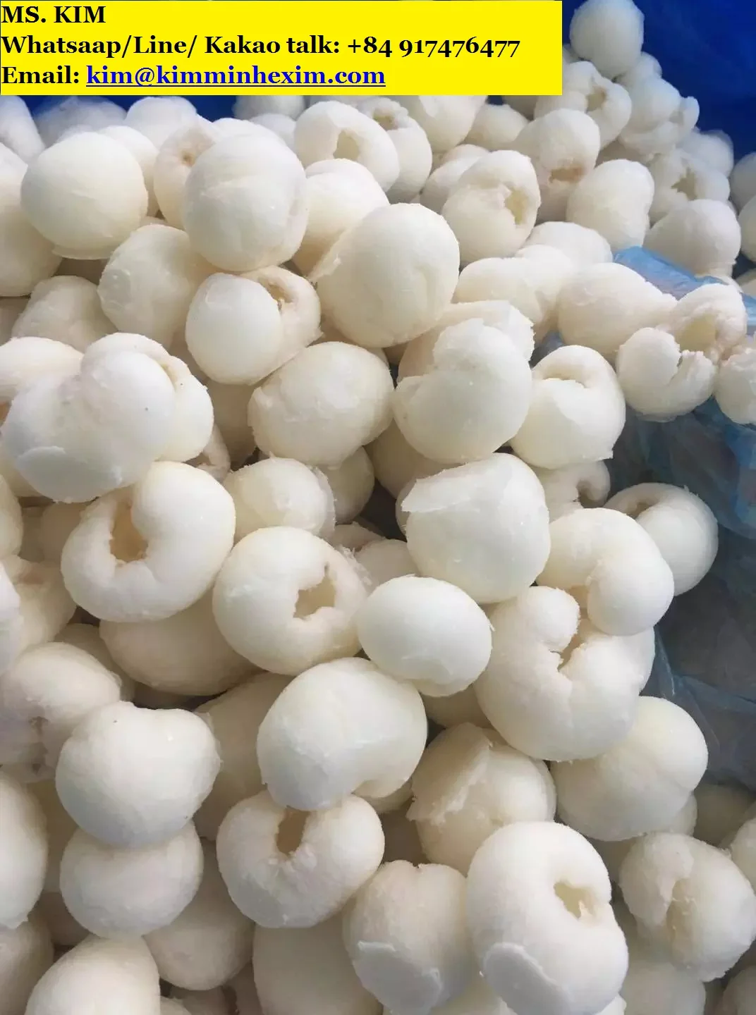 FROZEN LONGAN FRUIT HIGHT QUALITY PACKING 5KG PER CARTON -- HP 0084 917 476 477