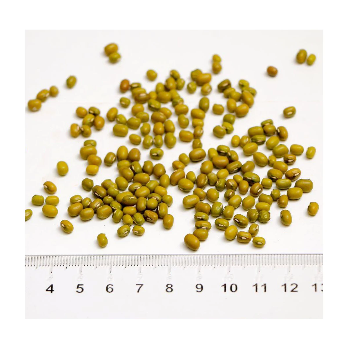 High grade non-GMO wholesale 100% natural products from Uzbekistan mung dal green mung beans 3+ for food