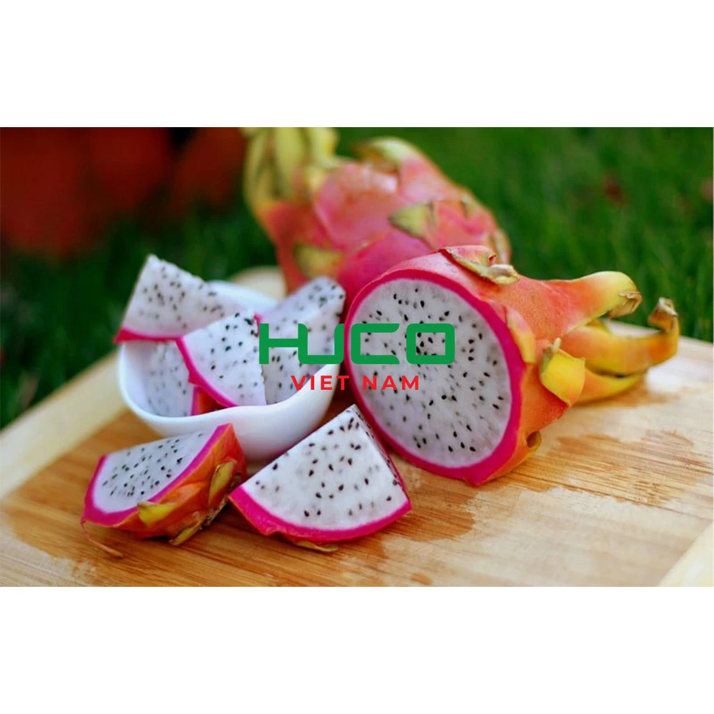Fresh Red Dragon Fruit Dice / Wholesale Fresh Red Pitaya Vietnam