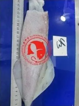 Frozen Whole Loligo Squid For Export in Bulk Quantity High Quality Frozen Loligo Squid Available in Multiple Sizes