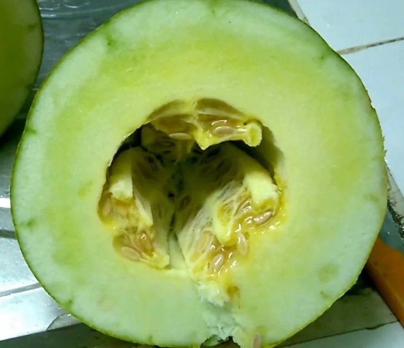 Wholesale High Quality Best Price 100% Natural Frozen Melon Fruit Shipping From Viet Nam Ms Sophie
