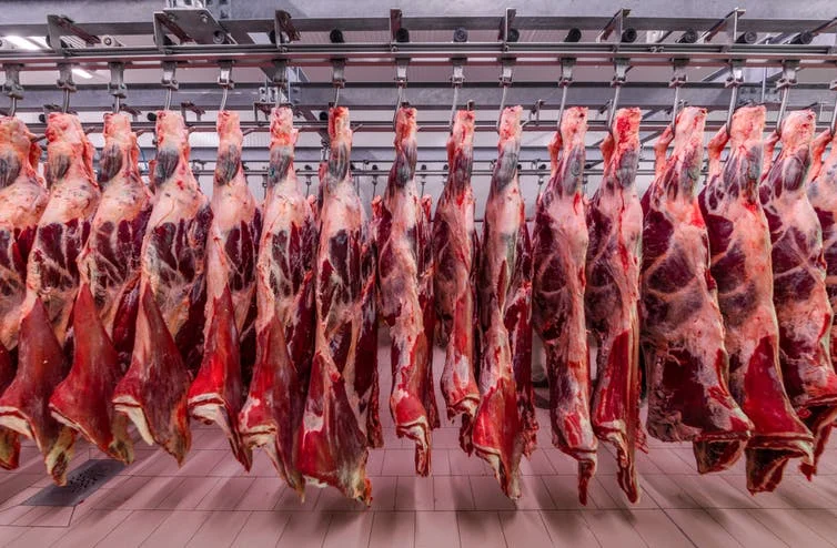 2022  HALAL FRESH FROZEN GOAT/ MUTTON MEAT/ LAMB MEAT