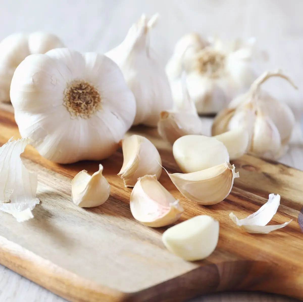 Organic Garlic Seeds From Farm Fresh Crop for Food Use