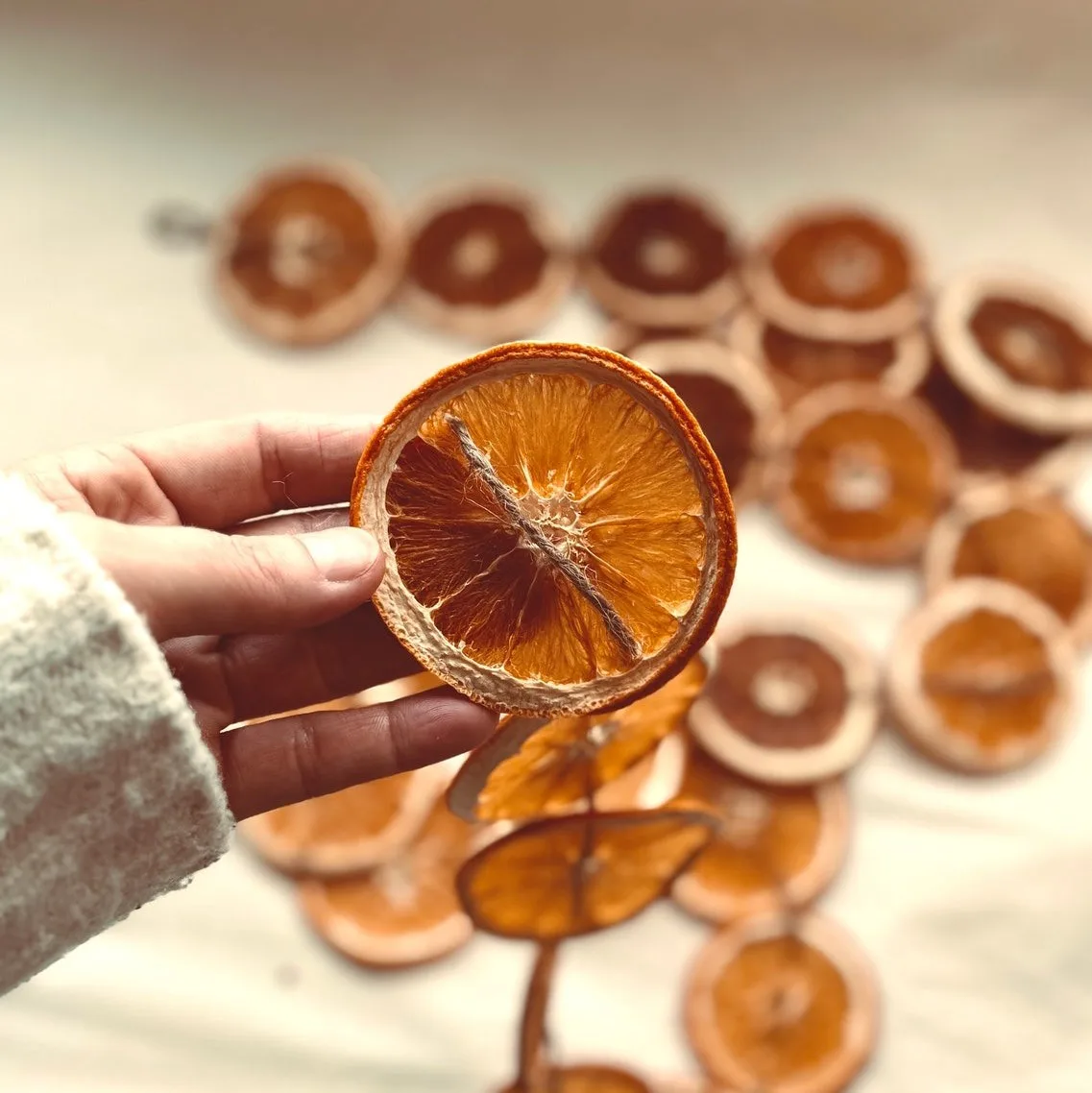 Delicious Natural Taste Dry Citrus Fruit Slice Dried Orange Slices Competitive Price Dehydrated Tangerines