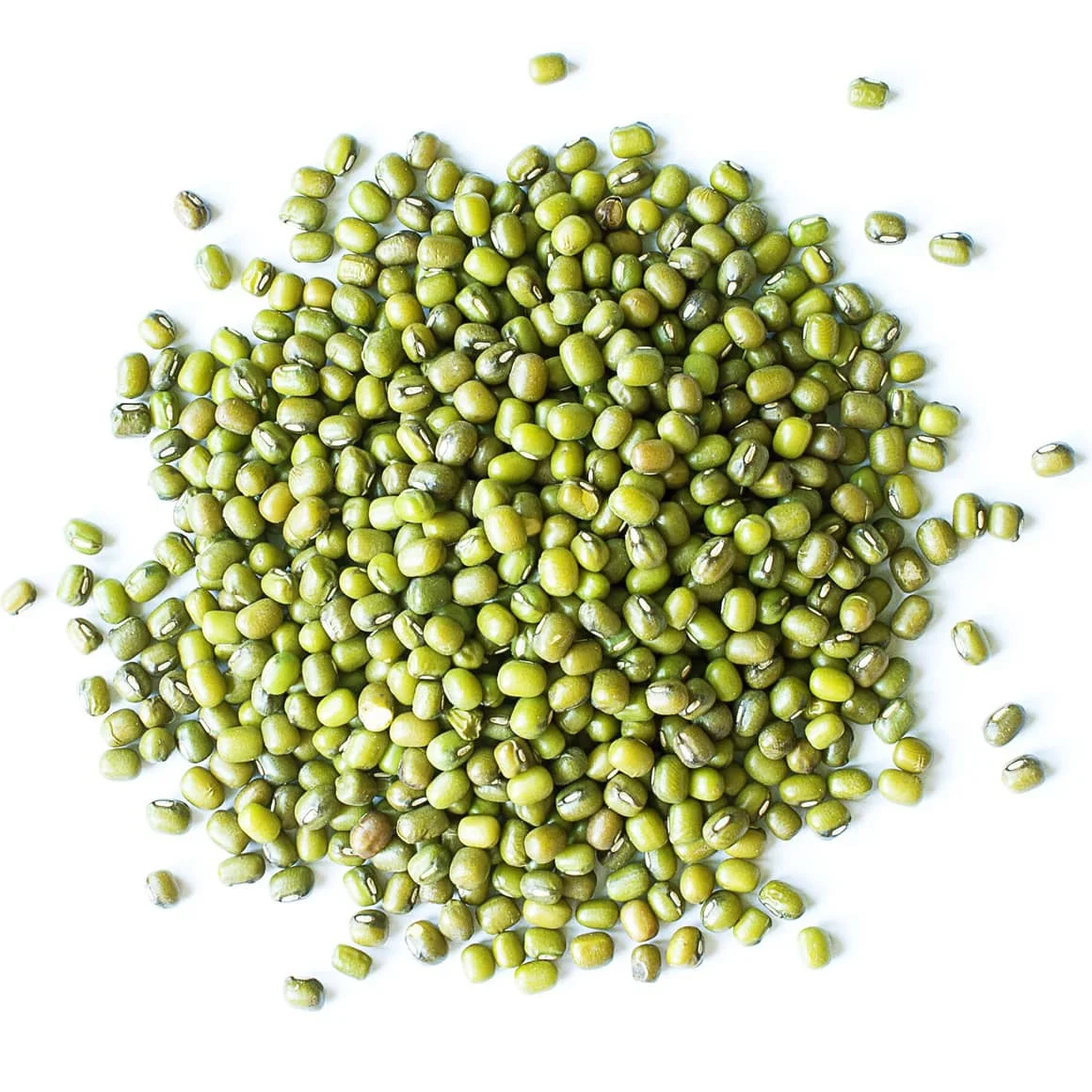 High quality wholesale dried green bean bulk natural new crop Mung Beans premium food grade Mung Beans available for sale