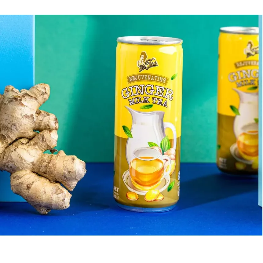 Natural Ginger Flavor Energize Blended Instant Bulk MR TEA Ginger Milk Tea 240ml x 24c from Malaysia