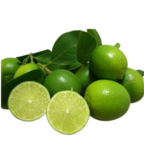 Fresh Navel Orange , Fresh Orange, Fruit Wholesale Suppliers Sweet Navel Price Citrus
