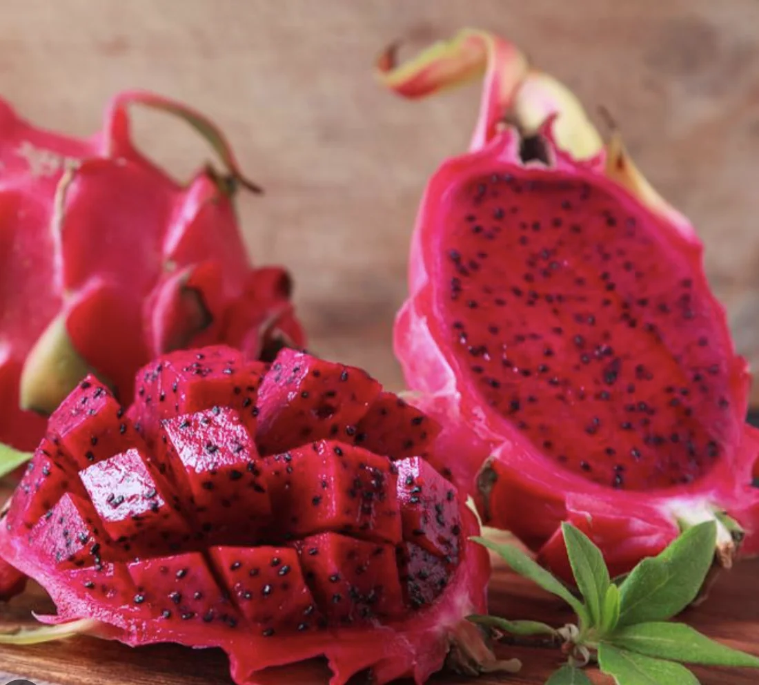 Top High Quality Red Dragon Fruit - Sale For Fresh / Frozen Dragon Fruit - Vietnam pitaya / dragon fruit fresh