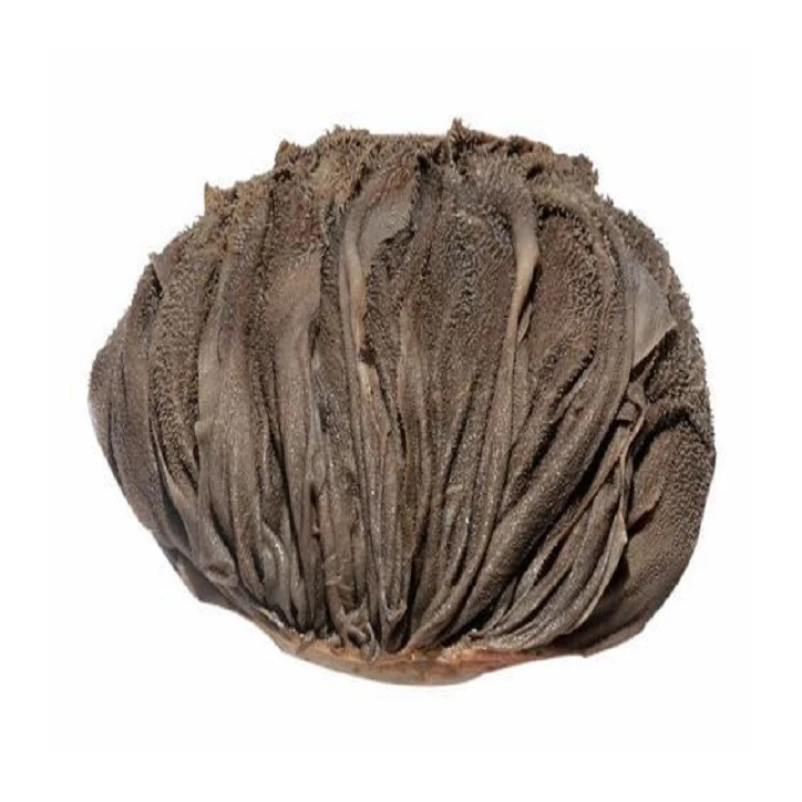 SALTED BEEF OMASUM SCALDED OMASUM and BEEF TRIPE
