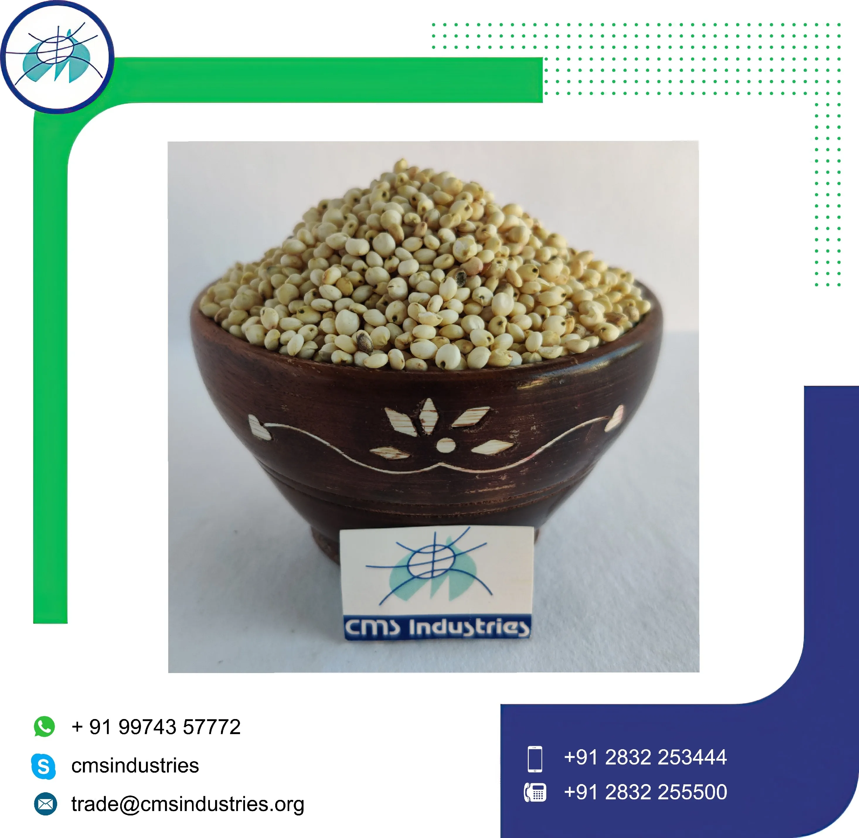 Indian Product Exclusive Quality Sorghum for Bird