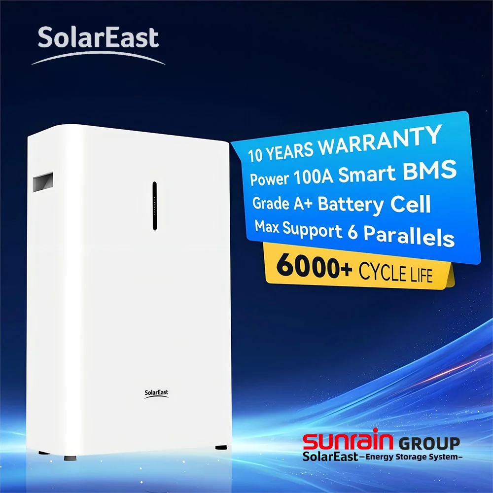 Sunrain 10 Years Warranty Energy Storage 5kwh 10kwh 15kwh 20kwh Wall Mounted Lifepo4 Battery 51.2v 100ah Lithium Battery