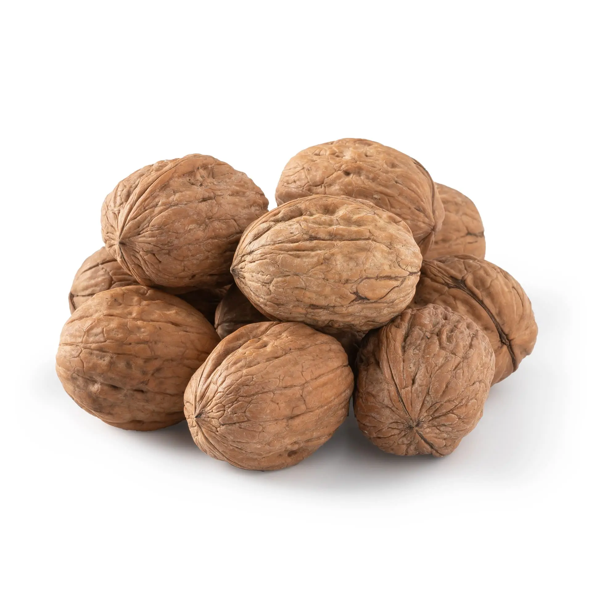 Organic Walnuts / Premium Quality Walnuts Kernel