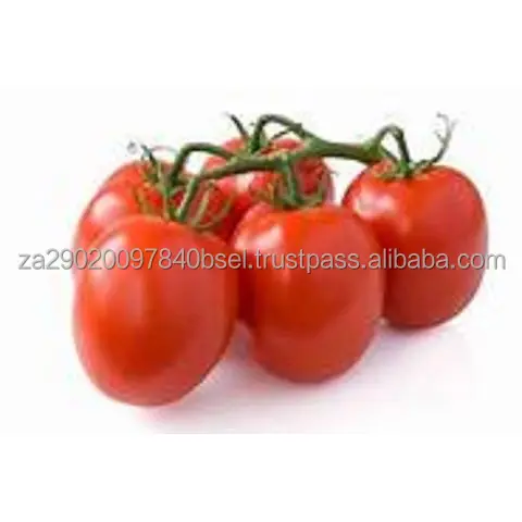 Fresh-Plum-Tomatoes (2).jpg