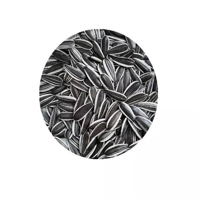 2023 черные семена подсолнечника высокое качество украинские необработанные натуральные оптовая продажа потребление