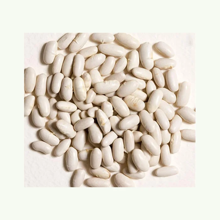 Cheap Wholesale Top Quality white kidney Beans In Bulk White Kidney Beans Hot Selling Organic Dry White Kidney Beans