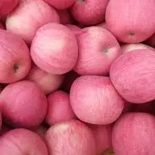High Quality for Exporting Fresh Chinese FUJI Apple
