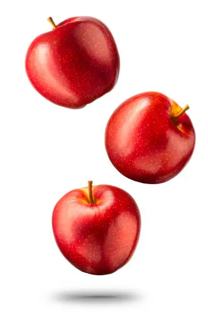 Fresh Apple