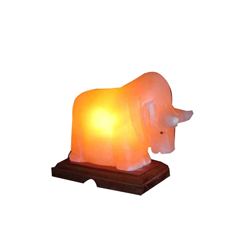 Buy Customized  Shape Mini USB Lamp Himalayan Pink Salt Lamp Premium Quality for Home Decoration OEM