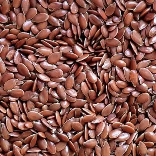 High quality Without Additives wholesale flax seeds linseed shipped in 25kg bags product from India ( THE ELITE HERBALS )