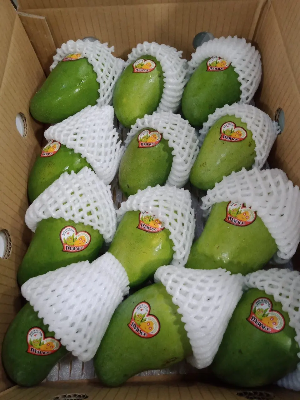 Organic Vietnam Green Mango Sweet/Sour Tropical & Sub-Tropical Fruit Fresh Agriculture Product
