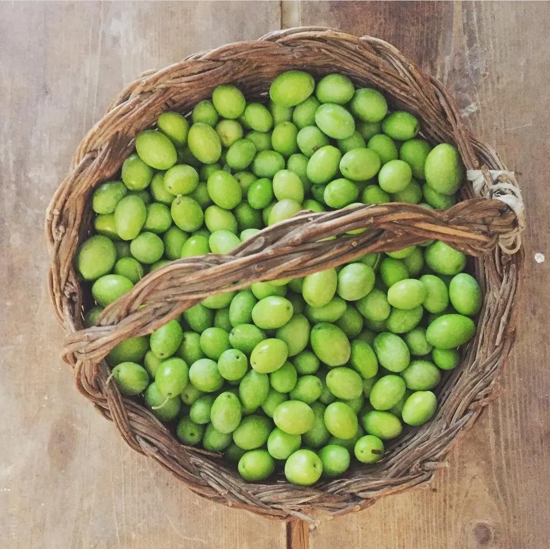 Best Quality Pure Extra virgin olive oil 100 Made in Italy 050L