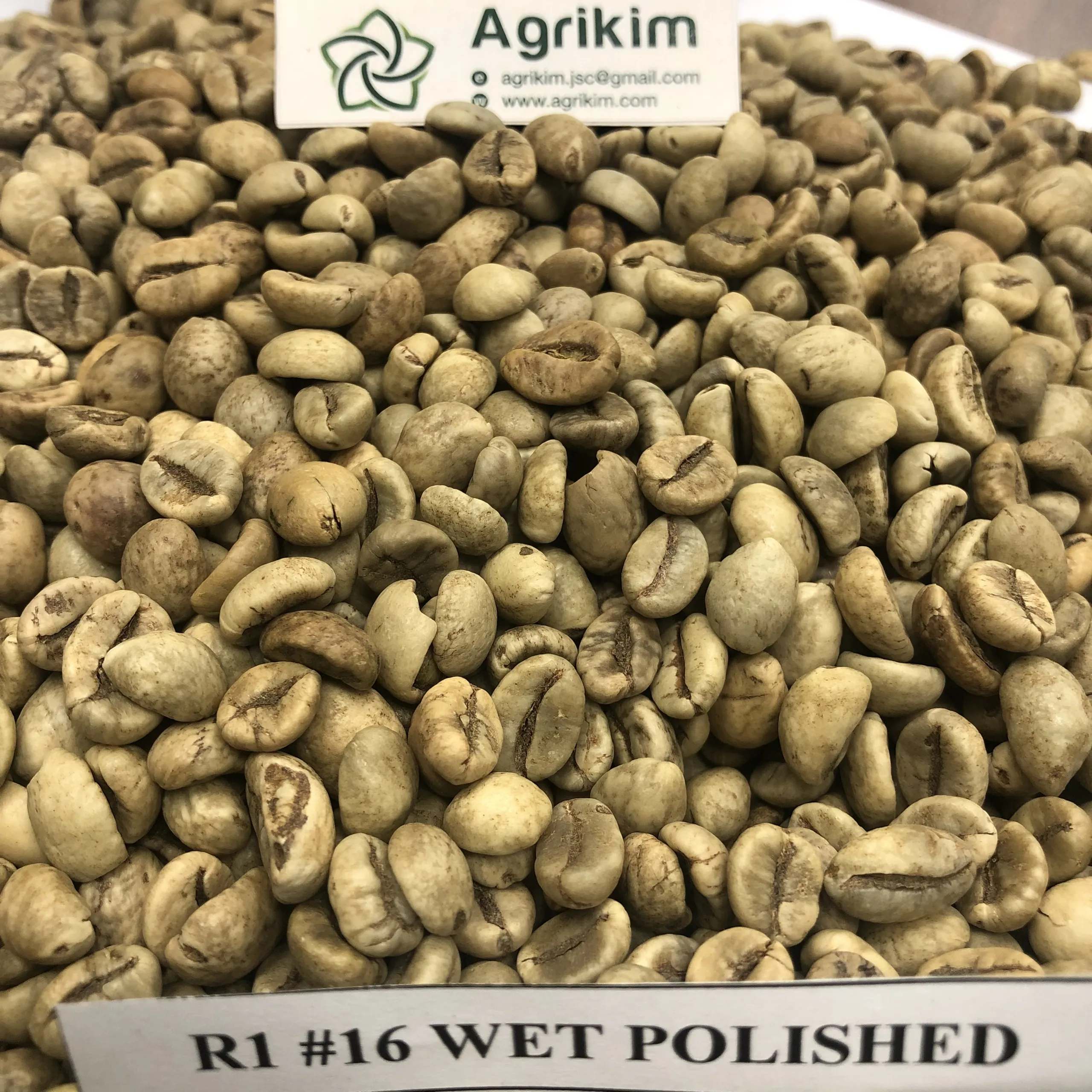 Высококачественные вьетнамские кофейные Зеленые зерна Robusta + 84 359313086 мс Анна