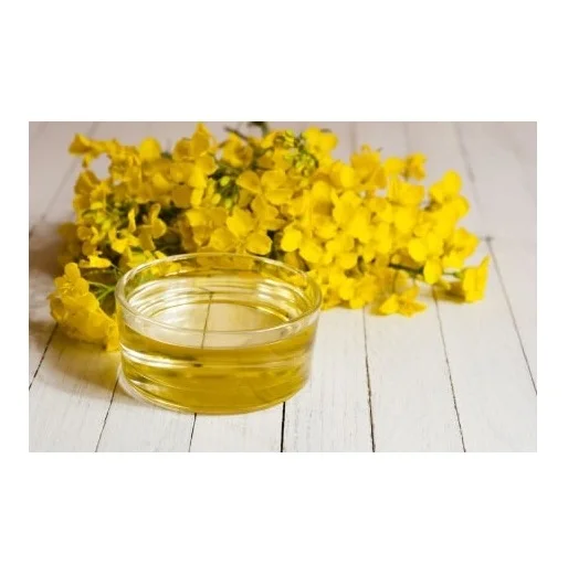 Wholesale Dealer Good Quality Cheap Price Refined Rapeseed Oil / Canola Oil / Crude rapeseed oil For Export