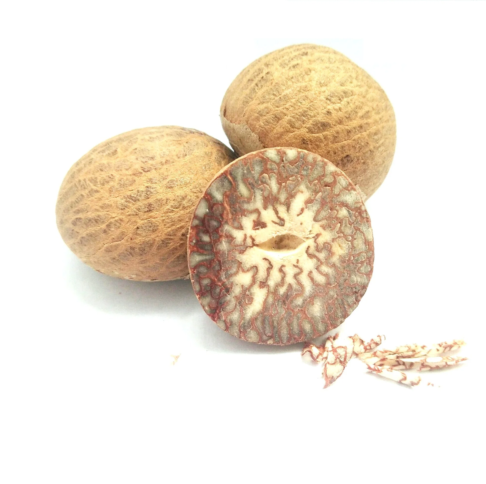 Top Quality Betel Nut Wholesale Dried Betel Nut Betel Nut Packing Bag Best Price For Exported