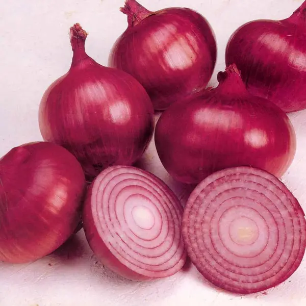 FRESH ONIONS