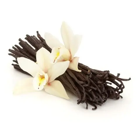 Wholesale Madagascar Vanilla Beans - Whole Extra Grade Gourmet Vanilla Pods 16.5cm Long