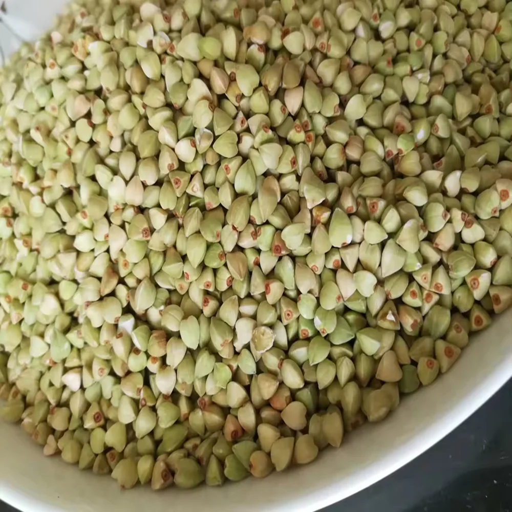 Hot sale natural buckwheat with export low price buckwheat
