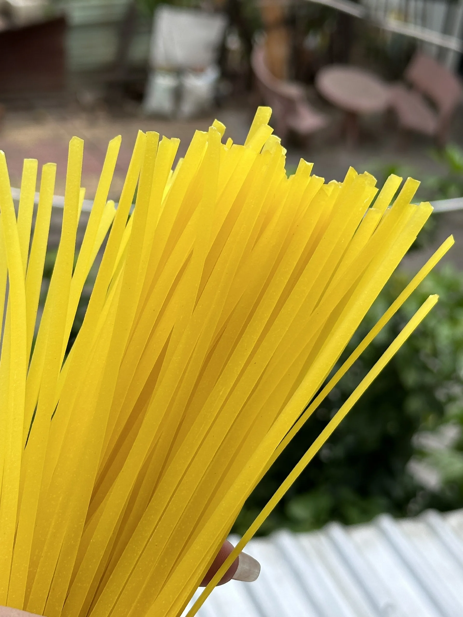 Dried Noodle Mi Quang Vietnam Noodle Traditional Food From Vietnam High Quality for Export/Quang Noodle Gluten Free Cheap Price