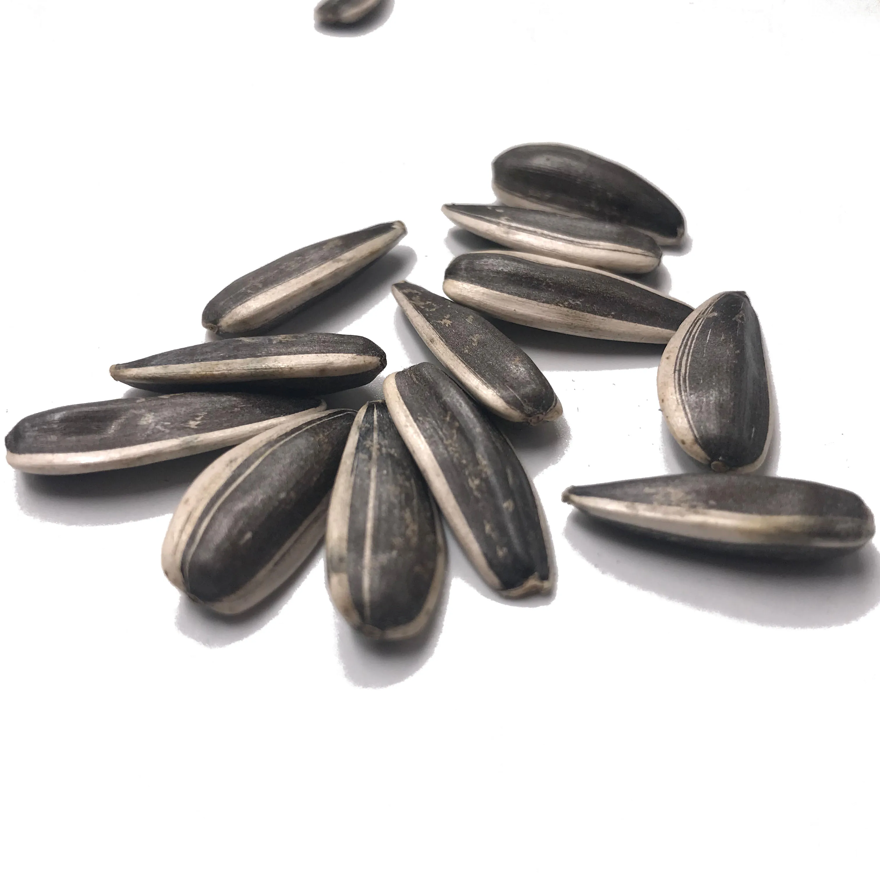 Wholesale  Roasted Sunflower Seeds Sunflower Kernel Seeds Sunflower Melon Seeds