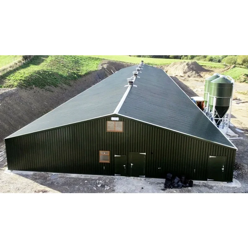 Куриная птицеферма строительный дом Современная сборная фермерская конструкция стальная для птицефабрик фермерский