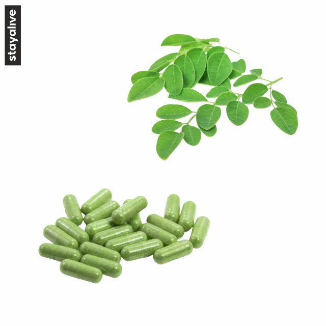 Moringa Powder Capsules  | Private Label Service | Moringa Oleifera | Antioxidant  | Vegan | (60,90,120 Capsules)