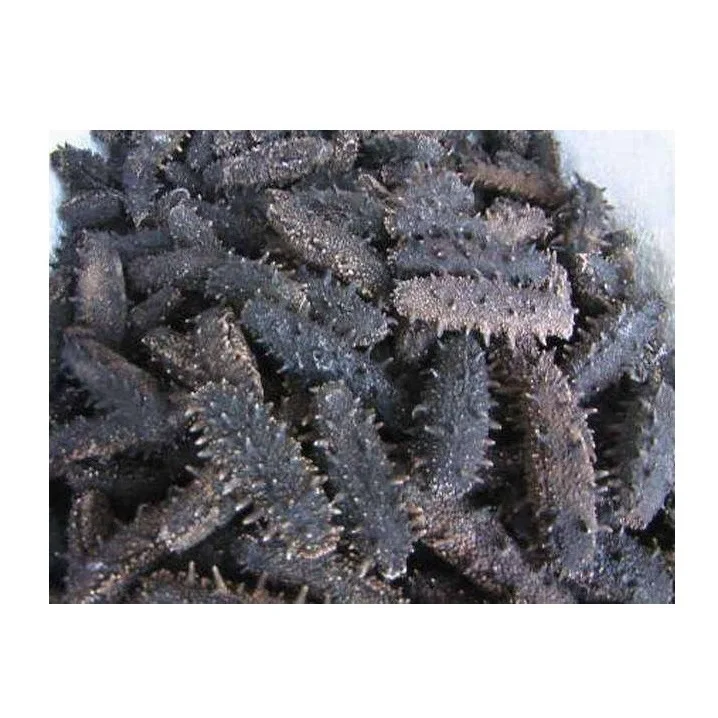 Bulk Quantity Of Dry Dried Sea Cucumber - DRIED and Frozen SEAFOOD Available Here At Best Prices