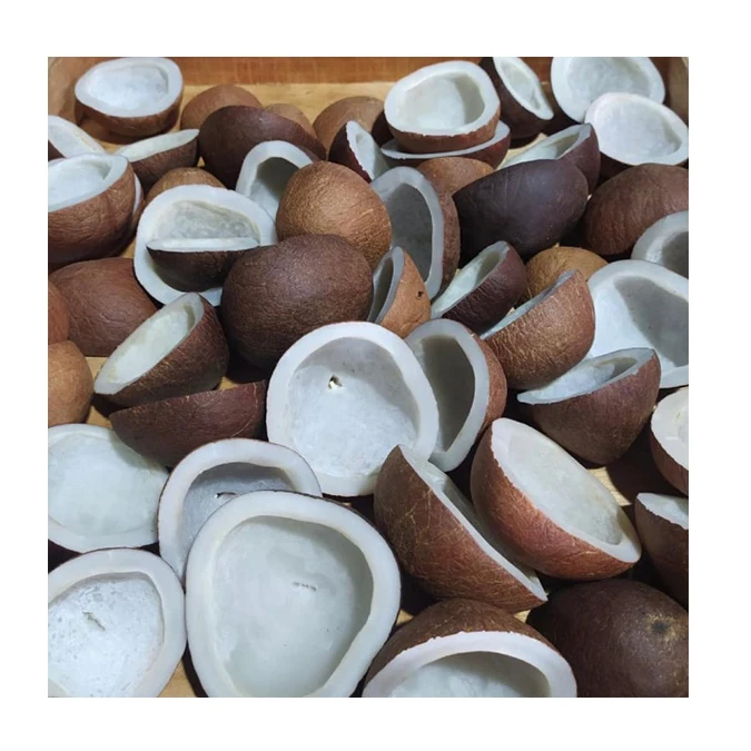 High Quality Best Price Coconut Metric Ton-wise Coconut Copra From Indonesian Agriculture