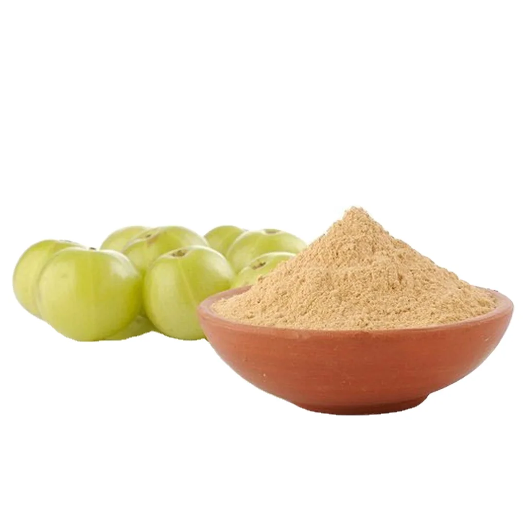 Премиум качество оптовый экспортер продажа 100% органического и чистого порошка сухого экстракта Amla для глобальных покупателей