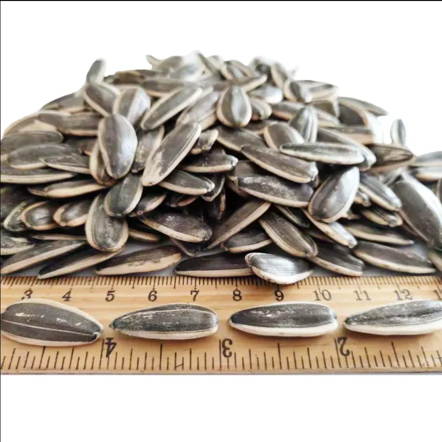 Wholesale Sunflower Seeds Kernel/Sunflower Seeds Ready For Export
