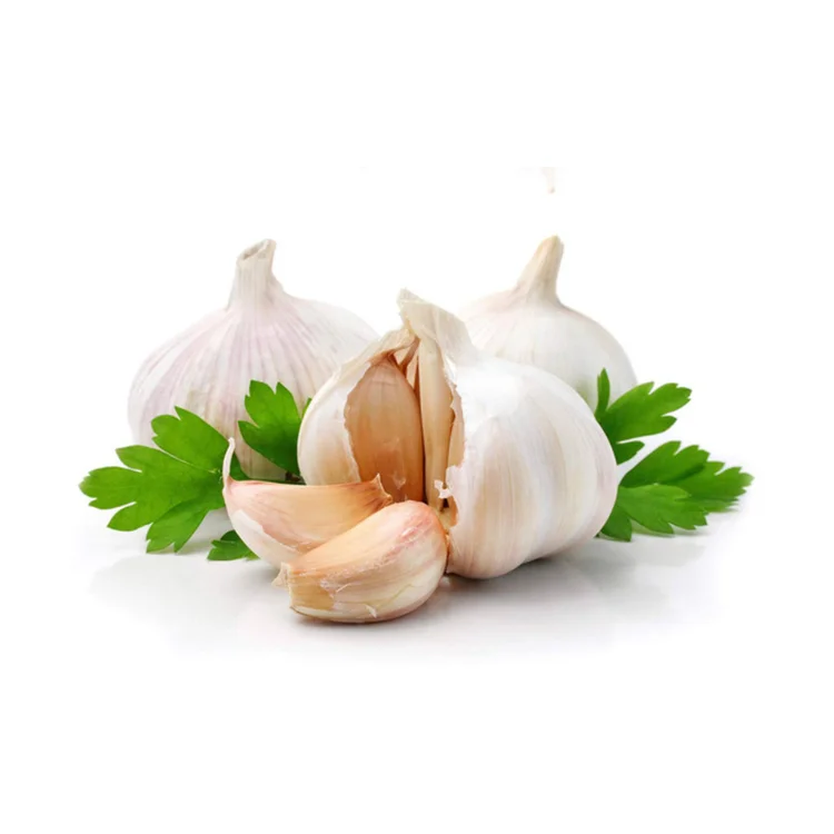 Top Quality Garlic Used As A Seasoning For Dishes 100% Dried Garlic Organic Packed In Box Vietnam Manufacturer