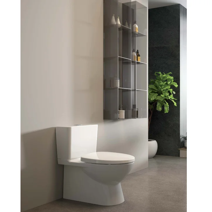 Customization Toilet Bowls High Quality Hygiene Apartment Modern Floor Mounted Ceramic Sanitary Ware Toilet Bowl