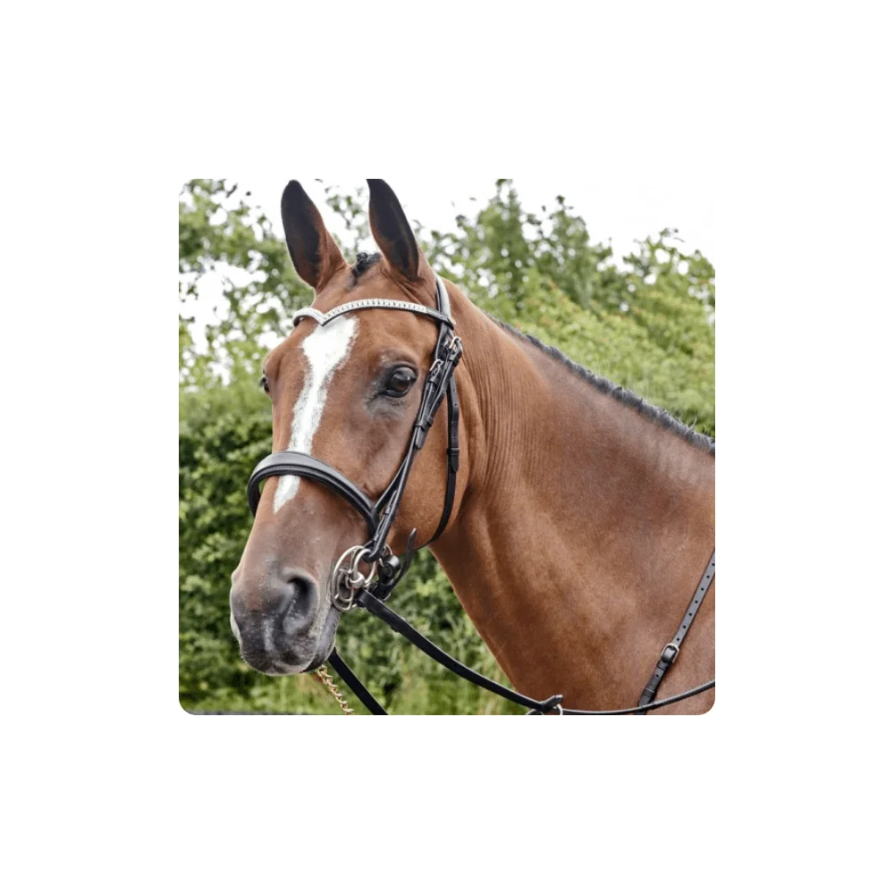 English Horse Bridles for Sale  Snaffle Bridle With 2 Browbands Horse Bridles for Sale From India multifunctional