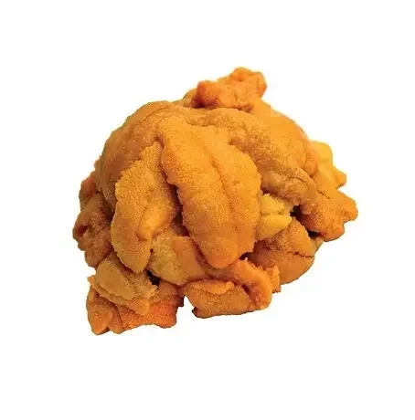 frozen sea urchin / fresh sea urchin / dried sea urchin for sale